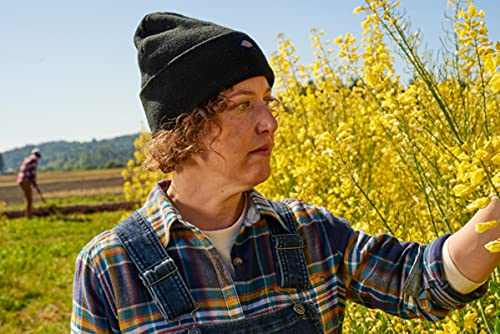 Dickies Mens Acrylic Cuffed Beanie Hat - Image 4